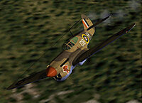 P-40E_DBH.jpg